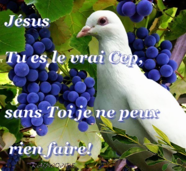 C'est Le Dieu Des Miracles