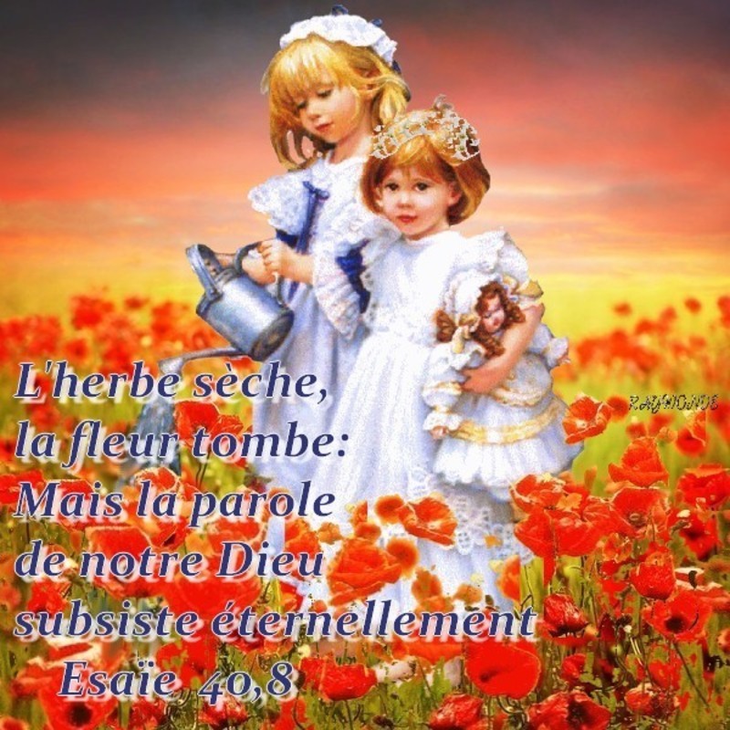 Bonne semaine à tous que Dieu bénisse notre foi La-parole-de-Dieu